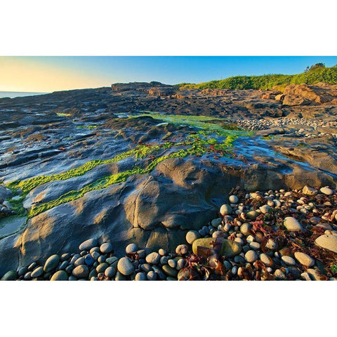 Canada-Nova Scotia Rocky shoreline along Bay of Fundy Black Modern Wood Framed Art Print by Jaynes Gallery