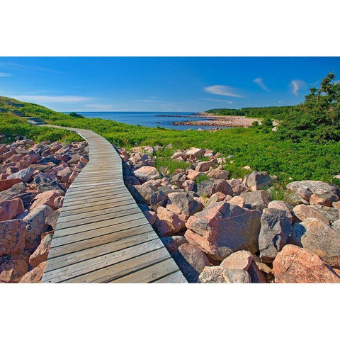 Canada-Nova Scotia-Cape Breton Island Wooden walkway along rocky shoreline White Modern Wood Framed Art Print by Jaynes Gallery