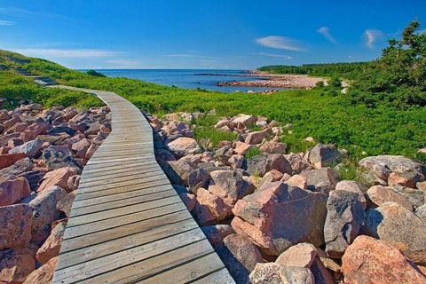 Canada-Nova Scotia-Cape Breton Island Wooden walkway along rocky shoreline Black Ornate Wood Framed Art Print with Double Matting by Jaynes Gallery