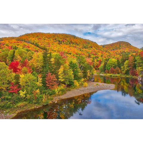 Canada-Nova Scotia Indian Brook and forest in autumn Black Modern Wood Framed Art Print with Double Matting by Jaynes Gallery