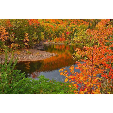 Canada-Nova Scotia Indian Brook and forest in autumn White Modern Wood Framed Art Print by Jaynes Gallery
