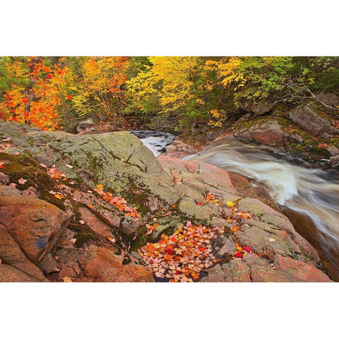 Canada-Nova Scotia Mary-Anne Falls and forest in autumn foliage Black Modern Wood Framed Art Print by Jaynes Gallery