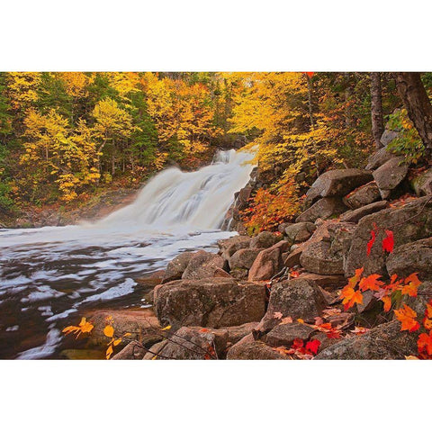 Canada-Nova Scotia Mary-Anne Falls and forest in autumn foliage Black Modern Wood Framed Art Print by Jaynes Gallery