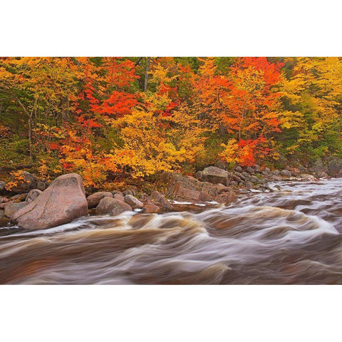 Canada-Nova Scotia Mary-Anne Falls and forest in autumn foliage Black Modern Wood Framed Art Print by Jaynes Gallery