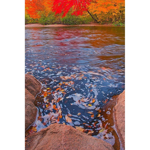 Canada-Nova Scotia-Cape Breton Island North Aspy River and forest in autumn Gold Ornate Wood Framed Art Print with Double Matting by Jaynes Gallery