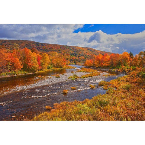 Canada-Nova Scotia-Cape Breton Island The North River and forest in autumn foliage Black Modern Wood Framed Art Print by Jaynes Gallery