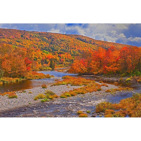 Canada-Nova Scotia-Cape Breton Island The North River and forest in autumn foliage Black Modern Wood Framed Art Print by Jaynes Gallery