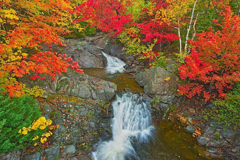 Canada-Nova Scotia-Cape Breton Island Morrison Brook and forest in autumn foliage White Modern Wood Framed Art Print with Double Matting by Jaynes Gallery