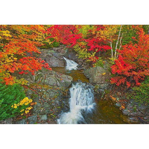 Canada-Nova Scotia-Cape Breton Island Morrison Brook and forest in autumn foliage Black Modern Wood Framed Art Print by Jaynes Gallery