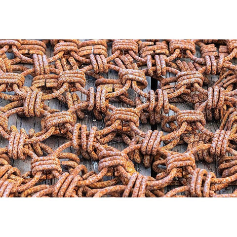 Chains used for fishing in Nova Scotia Black Modern Wood Framed Art Print with Double Matting by Ostrowitz, Mallorie