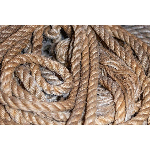 Coiled natural fiber fishing rope used in Nova Scotia fishing vessels Black Modern Wood Framed Art Print by Ostrowitz, Mallorie