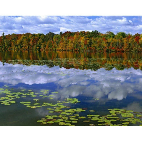 Canada, Ontario Park Haven Lake in autumn White Modern Wood Framed Art Print by Flaherty, Dennis