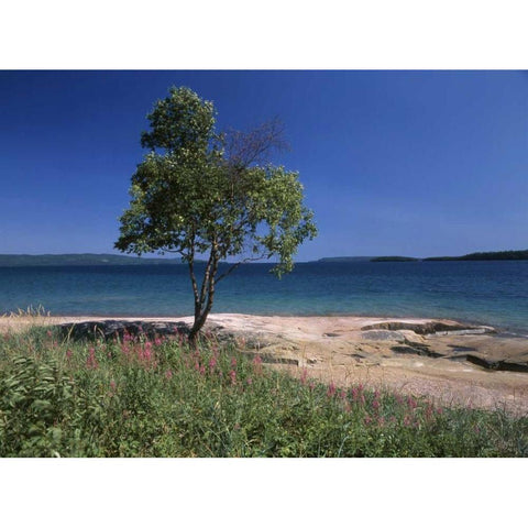 Canada, Ontario, Lake Superior Black Modern Wood Framed Art Print by Grandmaison, Mike