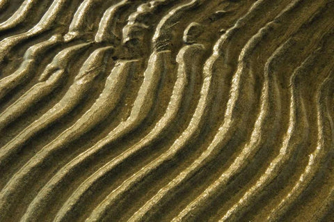 Canada, Ontario Ripples in sand of Georgian Bay Black Ornate Wood Framed Art Print with Double Matting by Grandmaison, Mike