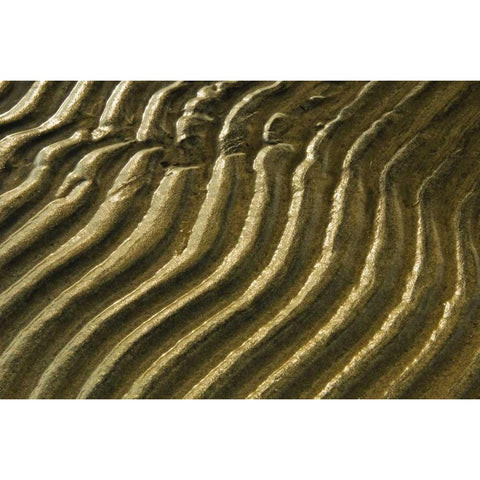 Canada, Ontario Ripples in sand of Georgian Bay Gold Ornate Wood Framed Art Print with Double Matting by Grandmaison, Mike