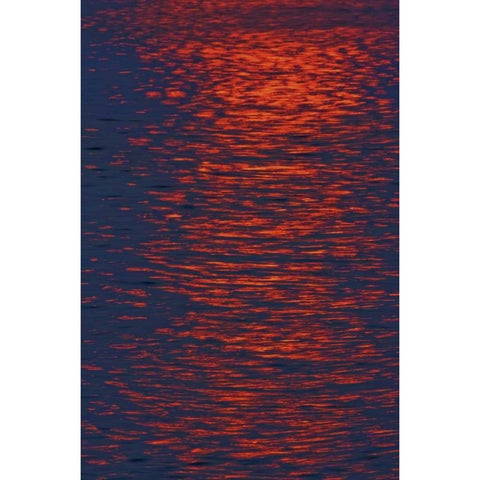Canada, Ontario Sunrise across Georgian Bay Black Modern Wood Framed Art Print by Grandmaison, Mike