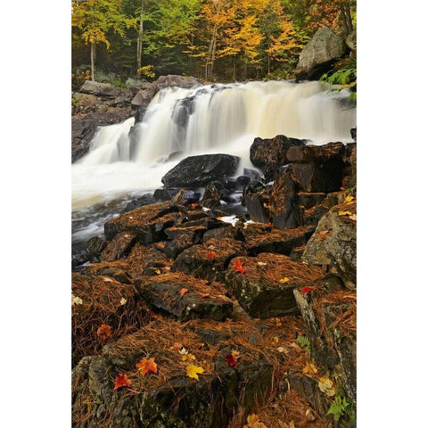 Canada, Emsdale Maple leaves by Magnetewan River Black Modern Wood Framed Art Print with Double Matting by Grandmaison, Mike