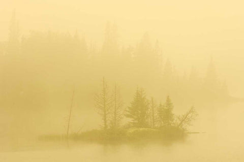 Canada, Ontario Fog on lake with small island White Modern Wood Framed Art Print with Double Matting by Grandmaison, Mike