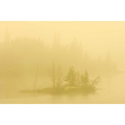 Canada, Ontario Fog on lake with small island Black Modern Wood Framed Art Print by Grandmaison, Mike