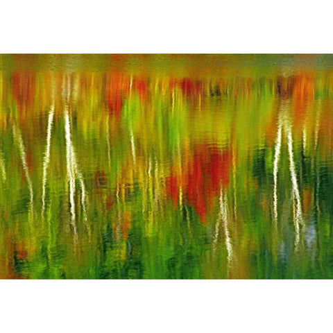 Canada Fall reflection in St Poithier Lake Gold Ornate Wood Framed Art Print with Double Matting by Grandmaison, Mike