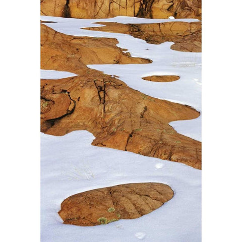 Canada, Killarney PP Animal tracks in snow Gold Ornate Wood Framed Art Print with Double Matting by Grandmaison, Mike