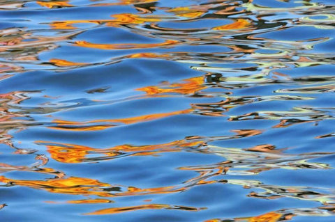 Canada Detail of yellow boat on Lake Rosseau White Modern Wood Framed Art Print with Double Matting by Grandmaison, Mike