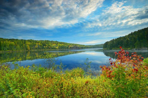 Canada, Algonquin PP Landscape of Costello Lake Black Ornate Wood Framed Art Print with Double Matting by Grandmaison, Mike