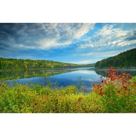 Canada, Algonquin PP Landscape of Costello Lake Gold Ornate Wood Framed Art Print with Double Matting by Grandmaison, Mike
