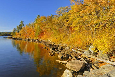 Canada, Ontario, Autumn at Lake of the Woods White Modern Wood Framed Art Print with Double Matting by Grandmaison, Mike