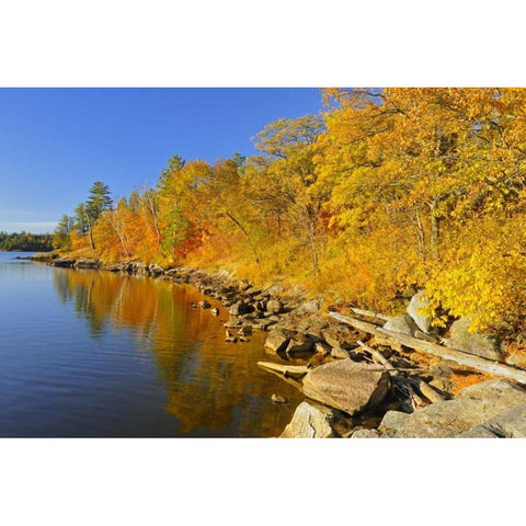 Canada, Ontario, Autumn at Lake of the Woods Black Modern Wood Framed Art Print by Grandmaison, Mike