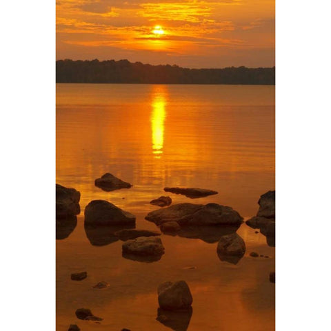 Canada, Bruce Peninsula Sunset on Berford Lake Black Modern Wood Framed Art Print by Grandmaison, Mike