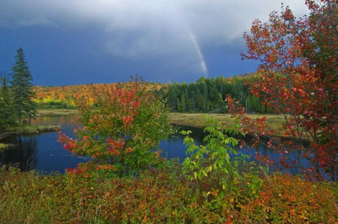 Canada, Ontario Rainbow and maples in autumn White Modern Wood Framed Art Print with Double Matting by Grandmaison, Mike