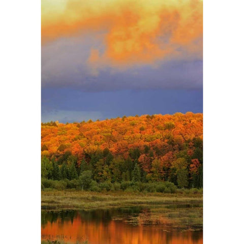 Canada, Ontario, Oxtongue Lake Sky and forest Gold Ornate Wood Framed Art Print with Double Matting by Grandmaison, Mike