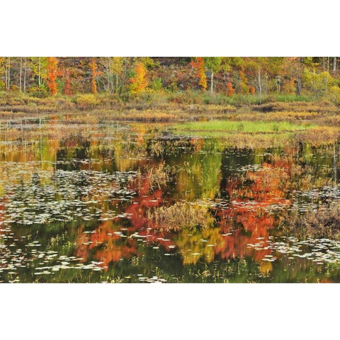 Canada, Minden Reflection of autumn  in pond Black Modern Wood Framed Art Print with Double Matting by Grandmaison, Mike