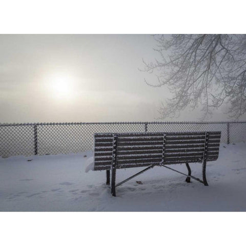 Canada, Ottawa Fog-shrouded winter scene Black Modern Wood Framed Art Print with Double Matting by Young, Bill