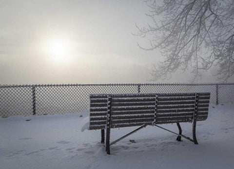 Canada, Ottawa Fog-shrouded winter scene White Modern Wood Framed Art Print with Double Matting by Young, Bill