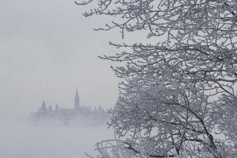 Canada, Ottawa, Ottawa River Parliament building Black Ornate Wood Framed Art Print with Double Matting by Young, Bill
