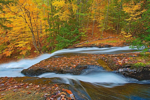Canada-Ontario-Ullswater Waterfall at Hatchery Falls on the Skeleton River Black Ornate Wood Framed Art Print with Double Matting by Jaynes Gallery