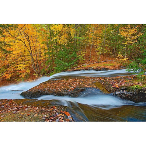 Canada-Ontario-Ullswater Waterfall at Hatchery Falls on the Skeleton River Gold Ornate Wood Framed Art Print with Double Matting by Jaynes Gallery