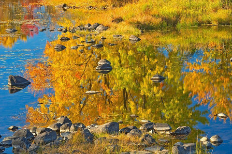 Canada-Ontario-Whitefish Autumn colors reflect in Vermilion River Black Ornate Wood Framed Art Print with Double Matting by Jaynes Gallery