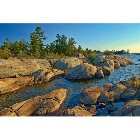 Canada-Ontario-Honey Harbour Trees on Precambrian shield rock Black Modern Wood Framed Art Print with Double Matting by Jaynes Gallery