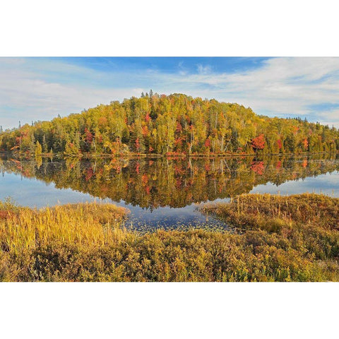 Canada-Ontario-Goulais River Forest reflection in lake Gold Ornate Wood Framed Art Print with Double Matting by Jaynes Gallery
