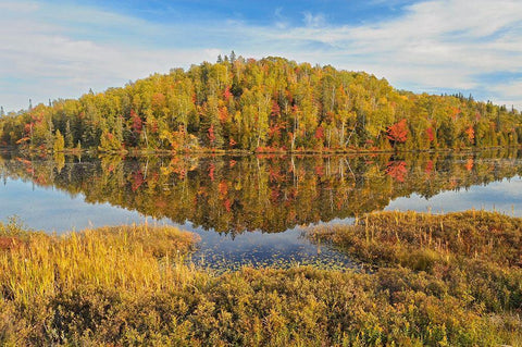 Canada-Ontario-Goulais River Forest reflection in lake Black Ornate Wood Framed Art Print with Double Matting by Jaynes Gallery