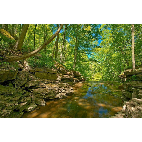 Canada-Ontario-Jordan 16 Mile Creek at Louth Falls Black Modern Wood Framed Art Print with Double Matting by Jaynes Gallery