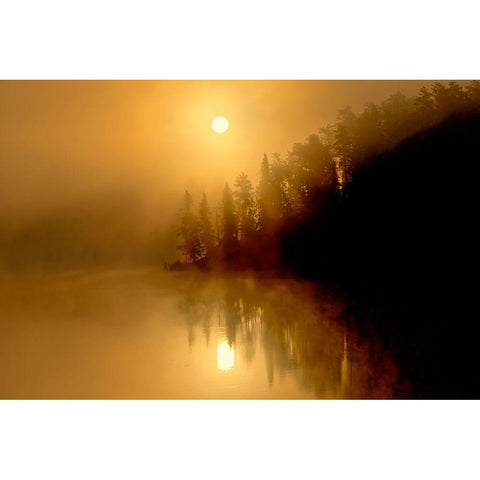 Canada-Ontario-Kenora Fog at sunrise on Isabel Lake Black Modern Wood Framed Art Print by Jaynes Gallery