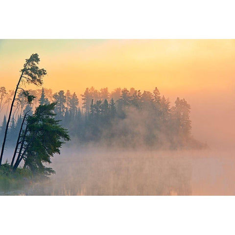 Canada-Ontario-Kenora Fog at sunrise on Isabel Lake Black Modern Wood Framed Art Print by Jaynes Gallery