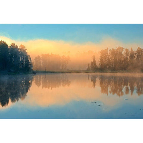 Canada-Ontario-Kenora Fog at sunrise on Isabel Lake Black Modern Wood Framed Art Print by Jaynes Gallery