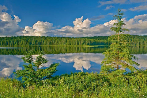 Canada-Ontario Clouds reflected in Trail Lake Black Ornate Wood Framed Art Print with Double Matting by Jaynes Gallery