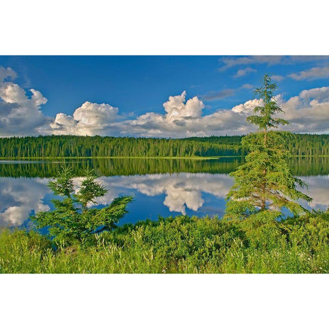 Canada-Ontario Clouds reflected in Trail Lake Black Modern Wood Framed Art Print with Double Matting by Jaynes Gallery