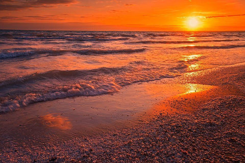 Canada-Ontario-Sandbanks Provincial Park-Waves on Lake Ontario beach at sunset Black Ornate Wood Framed Art Print with Double Matting by Jaynes Gallery